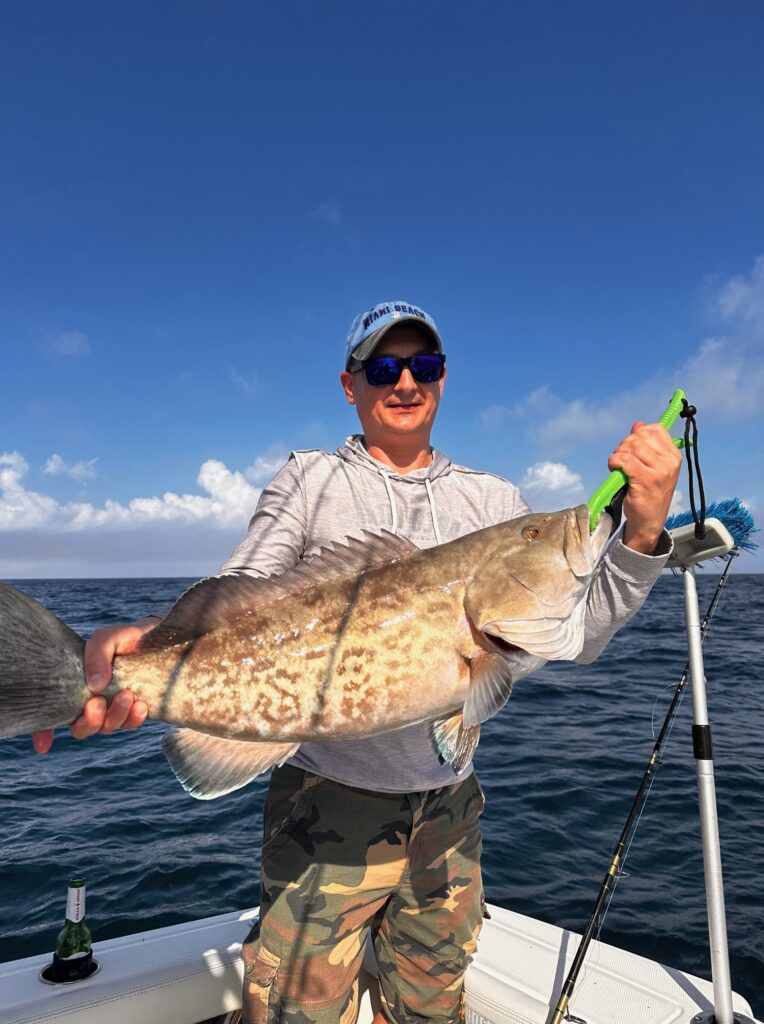Gag Grouper Sarasota