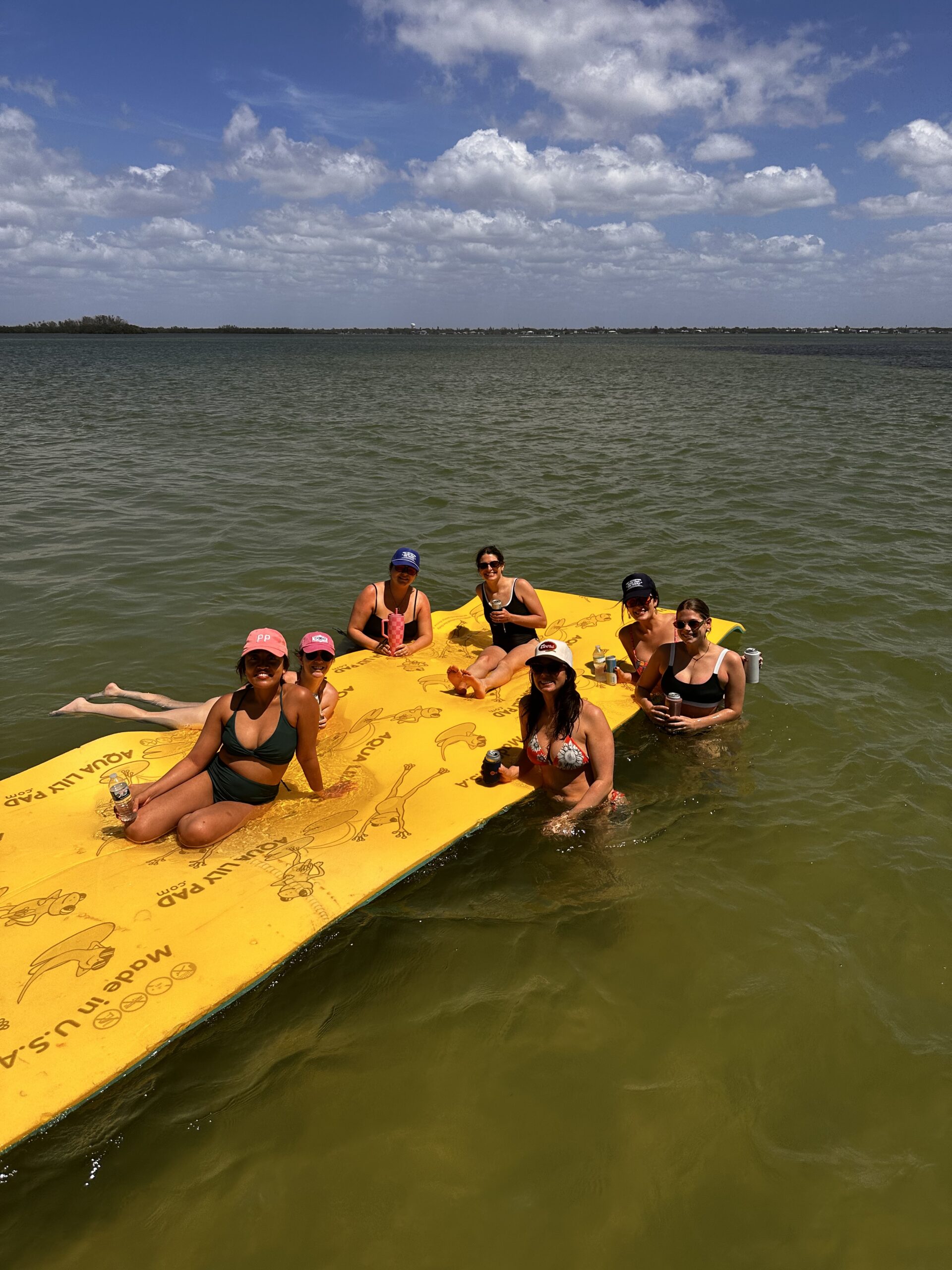 Anna Maria Island Sand Bar Tour
