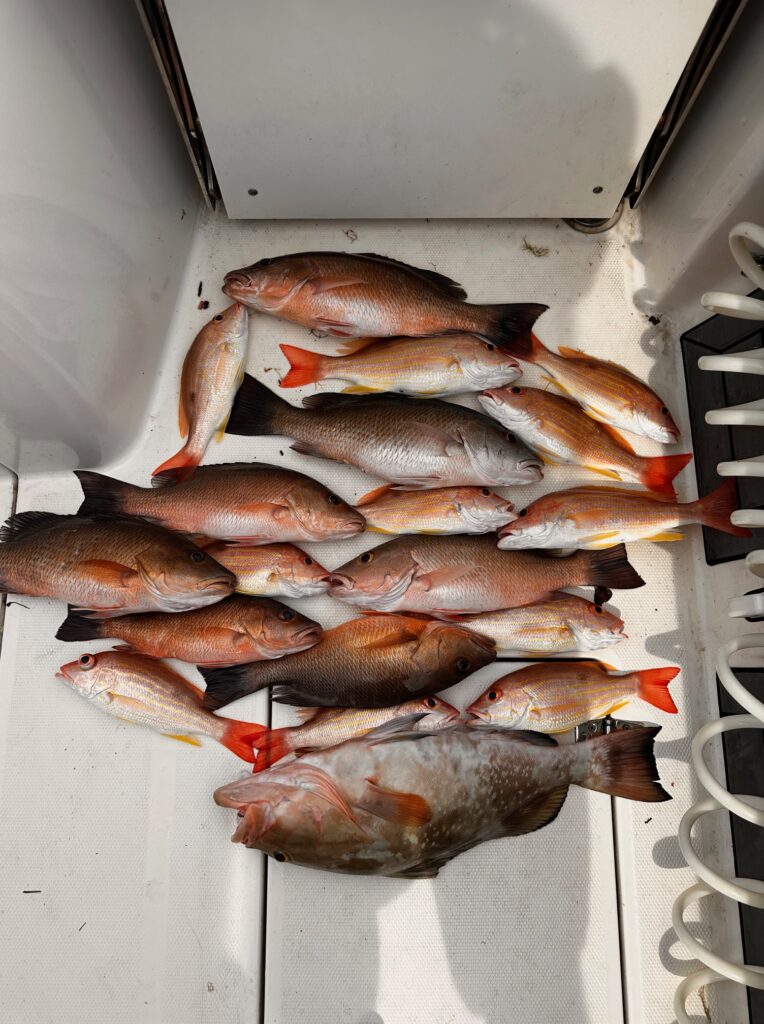 offshore fishing in florida