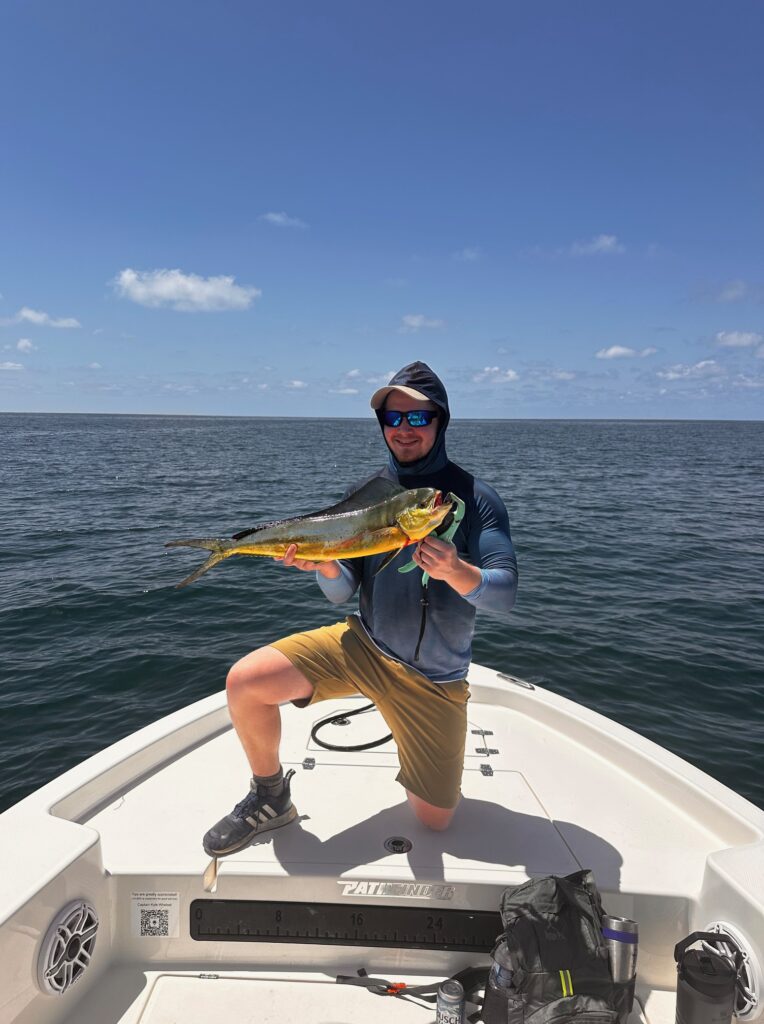 Mahi Mahi Gulf of America Charter Fishing