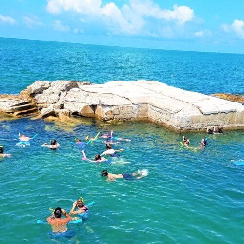 egmont key snorkeling