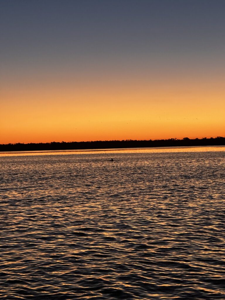 Sarasota Sunset Tour