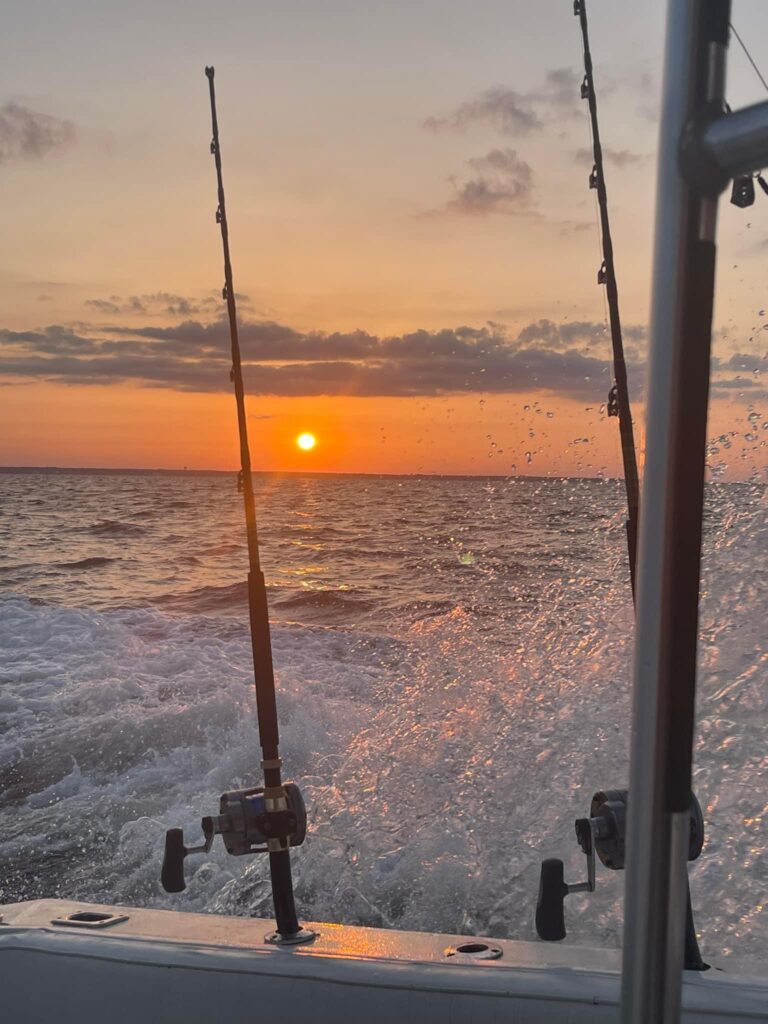 Siesta Key Sunset Tour