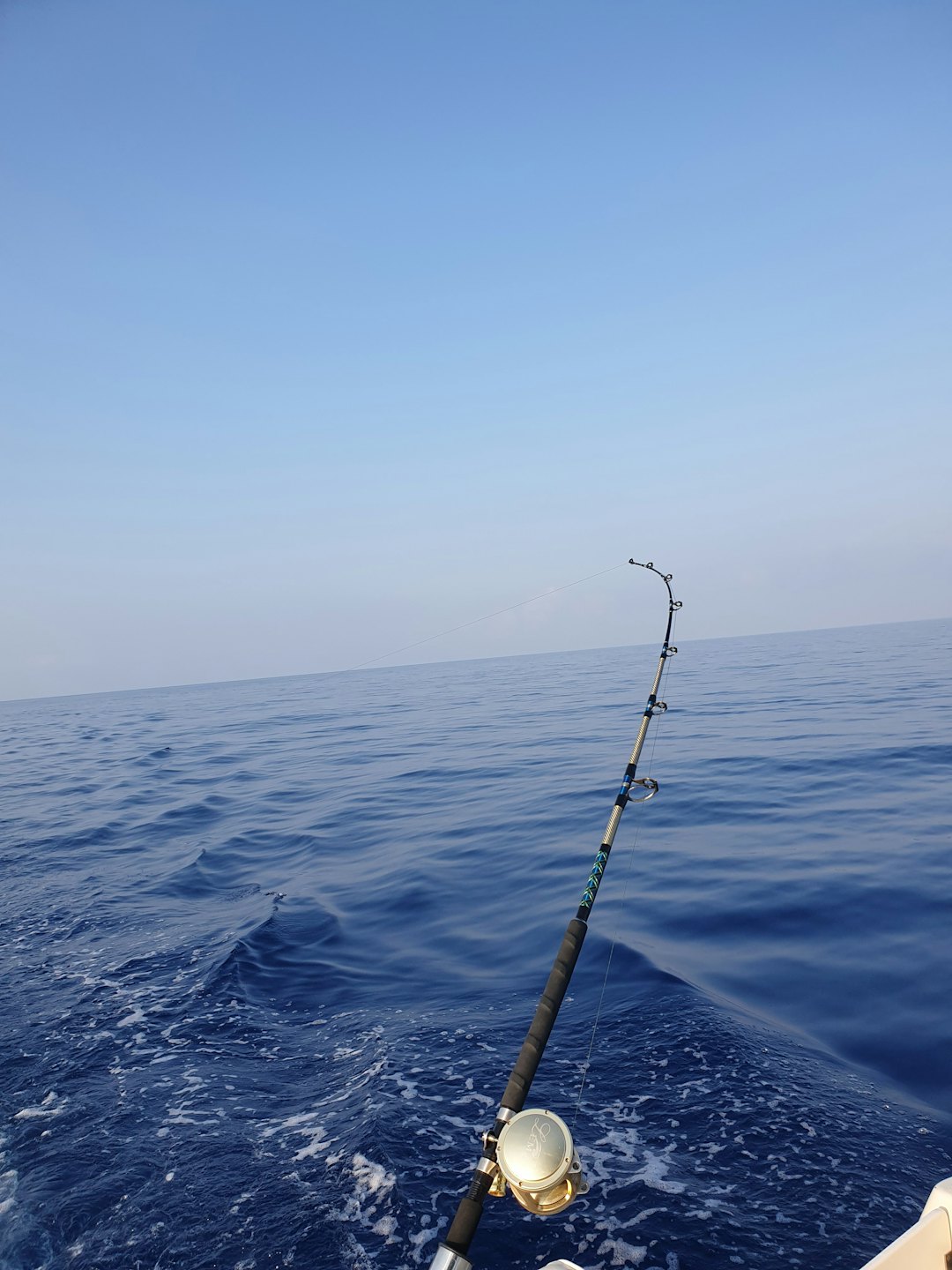 deep sea fishing sarasota florida